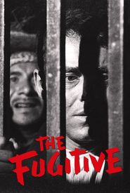 The Fugitive