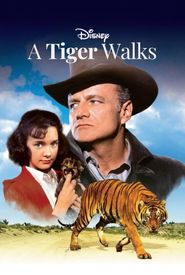 A Tiger Walks