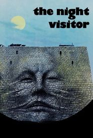 The Night Visitor