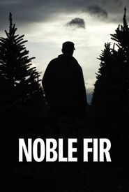 Noble Fir