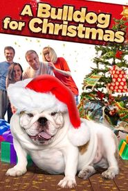 A Bulldog for Christmas