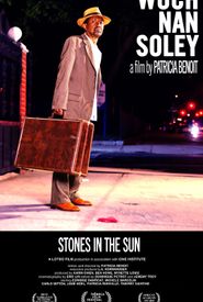 Stones in the Sun