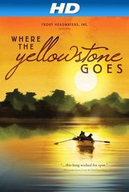 Where the Yellowstone Goes