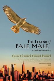 The Legend of Pale Male