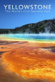 National Parks Exploration Series: Yellowstone