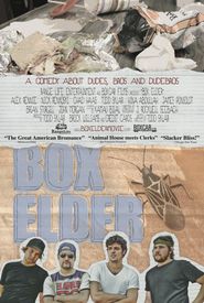 Box Elder