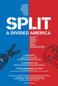 Split: A Deeper Divide