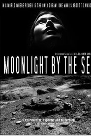 Moonlight by the Sea