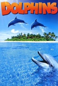 Dolphins