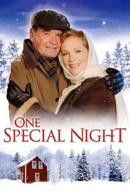 One Special Night