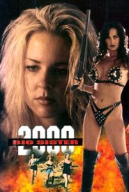 Big Sister 2000