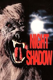 Night Shadow