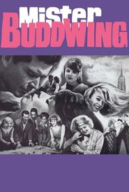 Mister Buddwing