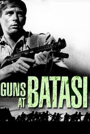 Guns at Batasi