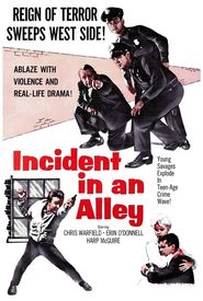 Incident in an Alley