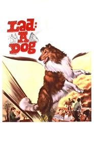 Lad: A Dog