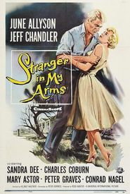 A Stranger in My Arms