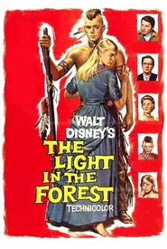 The Light in the Forest