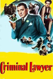 Criminal Lawyer