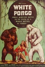 White Pongo