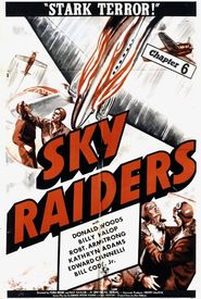 Sky Raiders