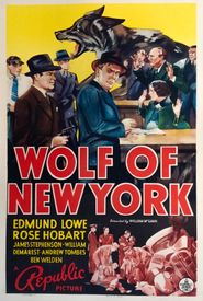 Wolf of New York