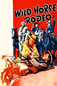 Wild Horse Rodeo