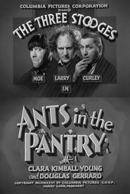 Ants in the Pantry