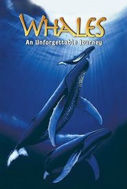 Whales: An Unforgettable Journey