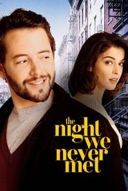 The Night We Never Met