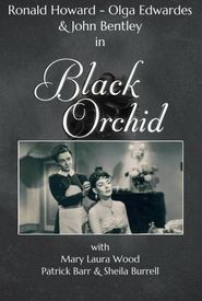 Black Orchid