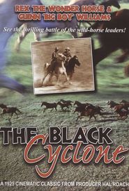 Black Cyclone