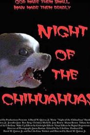 Night of the Chihuahuas