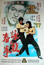 Bruce Lee: A Dragon Story