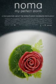 Noma: My Perfect Storm