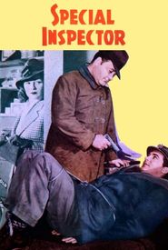 Special Inspector