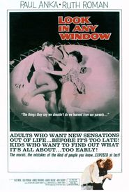Look in Any Window