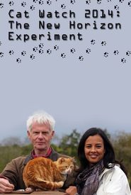 Cat Watch 2014: The New Horizon Experiment