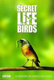The Secret Life of Birds