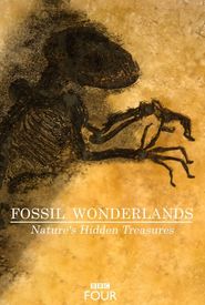 Fossil Wonderlands: Nature's Hidden Treasures