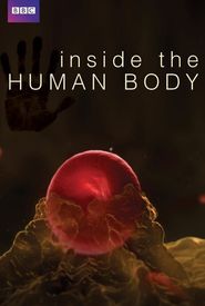 Inside the Human Body