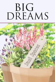 Big Dreams, Small Spaces