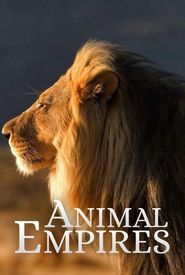 Animal Empire