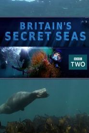 Britain's Secret Seas