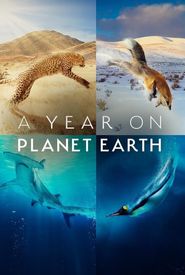 A Year on Planet Earth