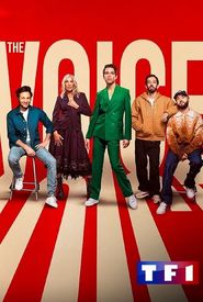 The Voice: La plus belle voix