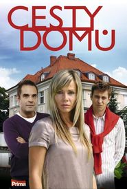 Cesty domú