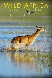 Wild Africa: Rivers of Life