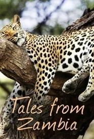 Tales from Zambia