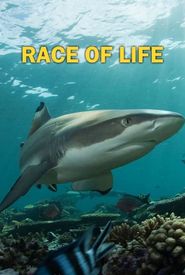Race of Life